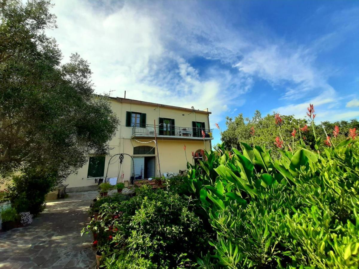 Villa Very II Marina di Campo Phòng bức ảnh